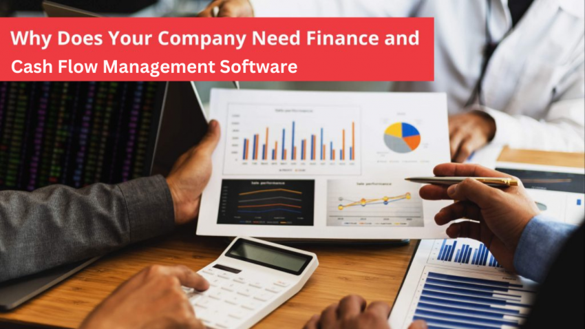 Cash flow management software